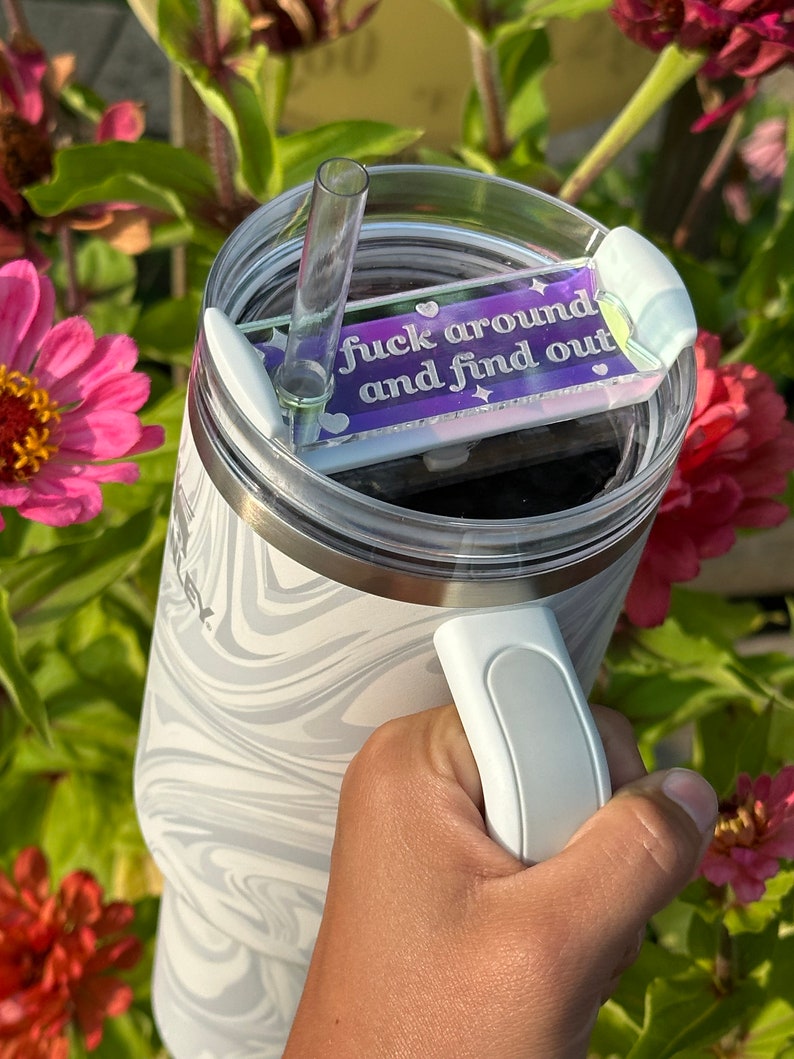 May include: A white and gray swirl-patterned tumbler with a clear lid and a clear straw. The lid has a purple and white accent piece with the text "fuck around and find out". The tumbler has a white handle.