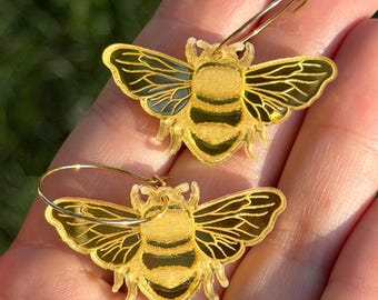 Sia ferox Indonesia (ID) - Pair of unmounted real cricket for