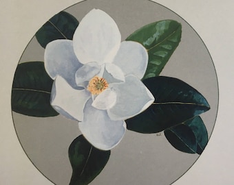 note cards:  southern magnolia