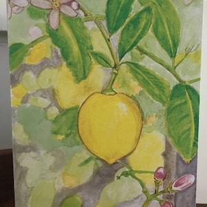 note cards:  lemon tree