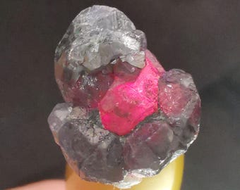 Chrysoberyl var. Alexandrite, Novello Mine Zimbabwe, 15mm length good translucent partial cluster, very good colour change, B3402