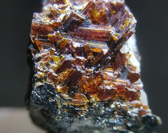 Sagenite red rutile twinning on black hematite from Pakistan, 16mm in length, B3417
