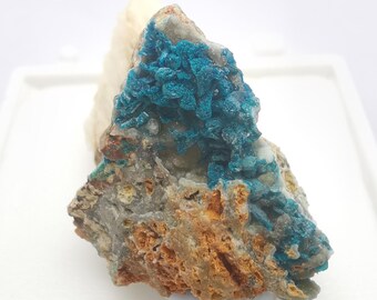 Veszelyite Blue xls in Hemimorphite Vug Mineral Specimen (28mm x 17mm x 15mm) B3420