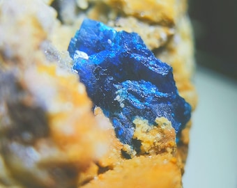 Veszelyite small micro vivid blue xls on matrix Yunnan China Rare mineral B2730