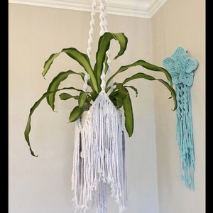May include: White macrame plant hanger with a green plant inside, hanging from the ceiling. A blue macrame wall hanging is on the wall to the right.