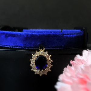 Princess Cat collar.dark royal blue rhinestone Cat collar,velvet tiny dog collar,breakaway Tea cup dog collar,cat gift. collar.puppy collar
