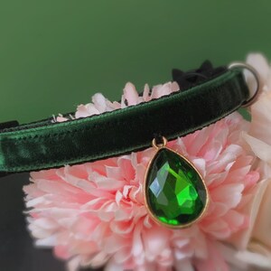 May include: A dark green velvet cat collar with a dangling emerald green gem pendant.
