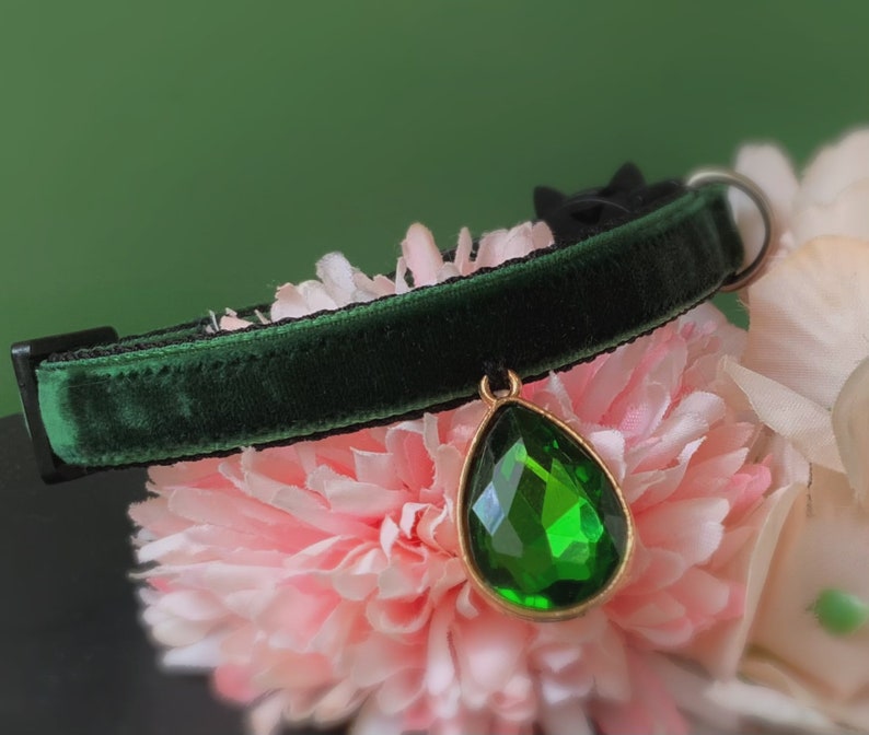 May include: A dark green velvet cat collar with a dangling emerald green gem pendant.