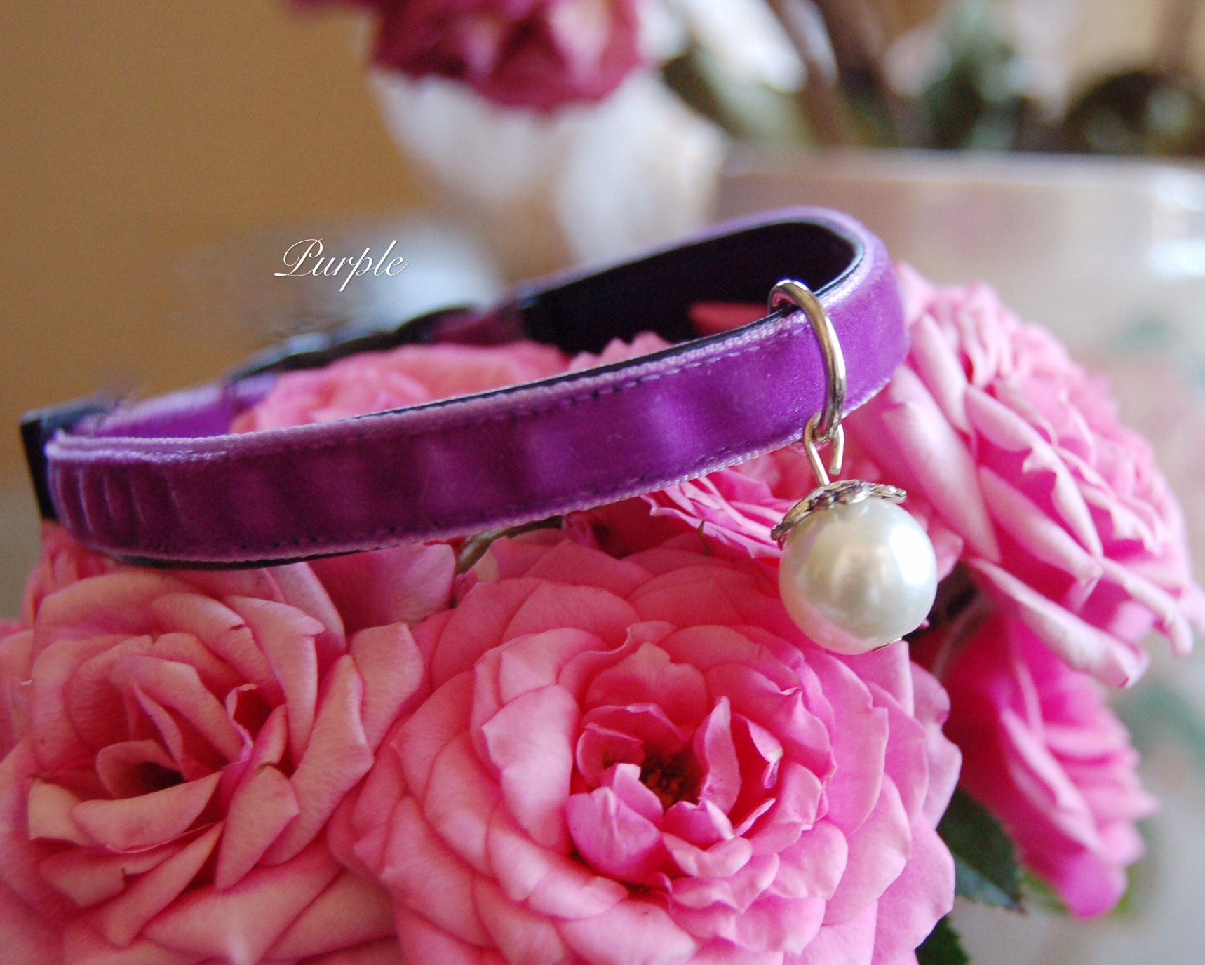Cat Collarpurple Panne Velvet Cat Collar Small Dog Collar Etsy
