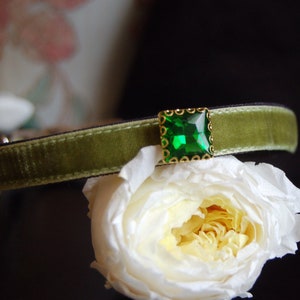 Cute rhinestone Cat collar, Yellow green velvet small dog collar,Kitten collar.Tiny dog collar, Birthday cat gift,kitty collar.puppy collar.