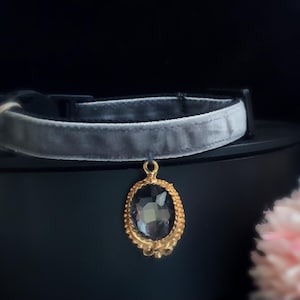 Beautiful rhinestone Cat collar,grey velvet small dog collar,breakaway cat collar.Tiny dog collar,cat birthday gift,kitty collar.puppy gift