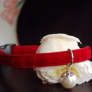 May include: A red velvet cat collar with a silver charm featuring a pearl. The collar is lying on a white rose.