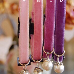 May include: Four velvet cat collars with pearl charms. The collars are in shades of pink and purple. The collars are shown hanging from a hook.