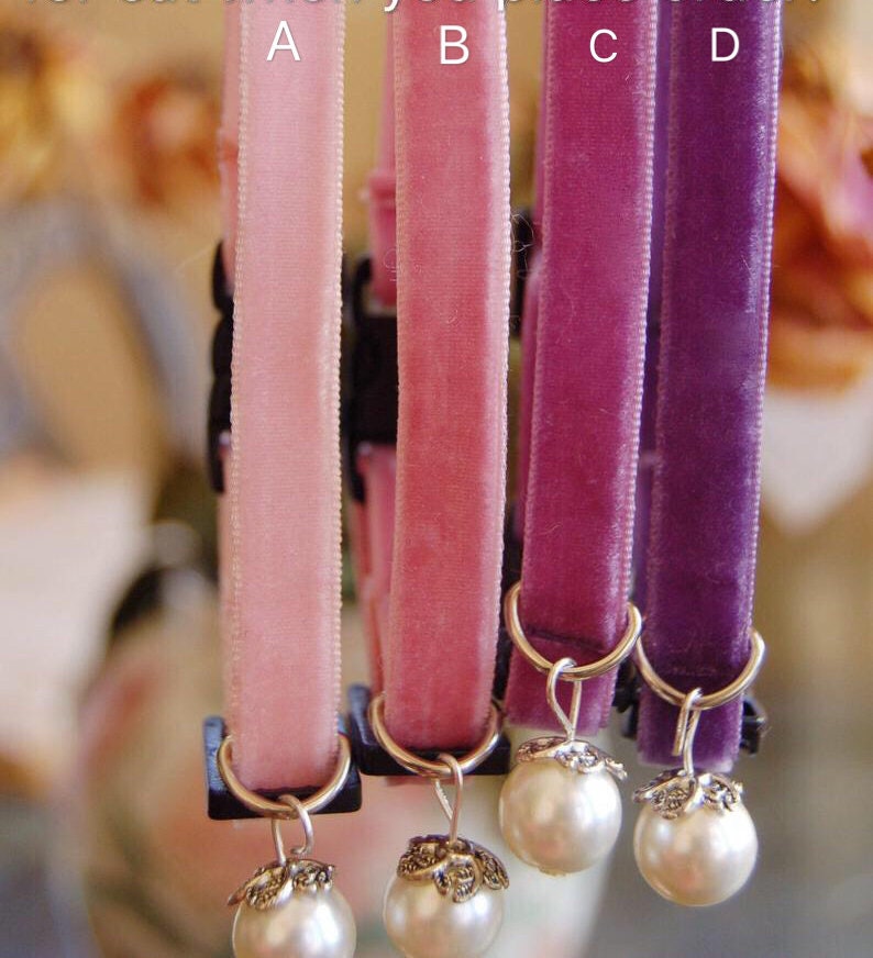 May include: Four velvet cat collars with pearl charms. The collars are in shades of pink and purple. The collars are shown hanging from a hook.