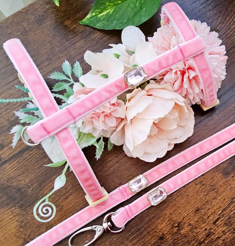 May include: Pink velvet dog harness and leash set with crystal accents. The harness has a  adjustable chest strap and a D-ring for attaching a leash. The leash has a clip for attaching to the harness.