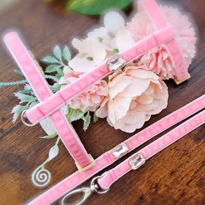 May include: Pink velvet dog harness and leash set with clear rhinestone accents.