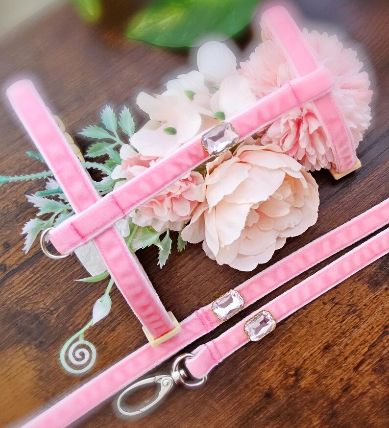 May include: Pink velvet dog harness and leash set with clear rhinestone accents.