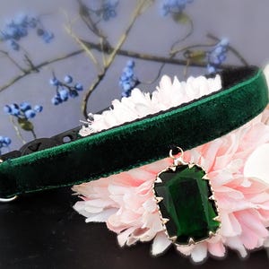 Princess Cat collar,rhinestone Cat collar,black green velvet tiny dog collar,Tea cup dog collar,cat gift ,kitten collar.puppy collar