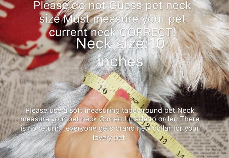 May include: A hand measures a dog's neck with a yellow measuring tape. The tape reads "10 inches". The text on the image reads "Please do not Guess pet neck size Must measure your pet current neck CORRECT! Neck size: 10 inches Please use a soft measuring tape around pet Neck measure your pet neck Correct! made to order. There is no return. everyone gets brand new collar for your lovely pet."