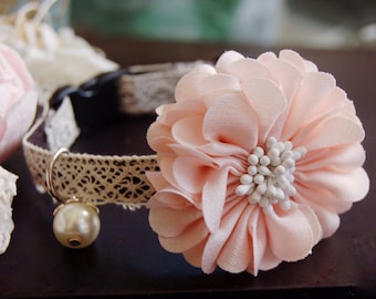 May include: A delicate pink flower with white accents is attached to a brown and white lace collar. The collar has a silver charm with a pearl hanging from it.