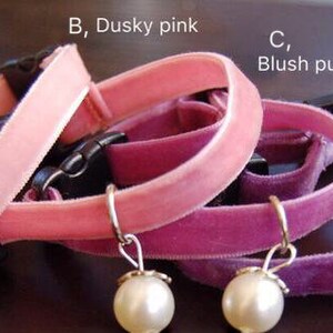 May include: Four velvet cat collars in different shades of pink and purple, each with a pearl charm. The collars are labeled A, Blush pink, B, Dusky pink, C, Blush purple, and D, Purple.