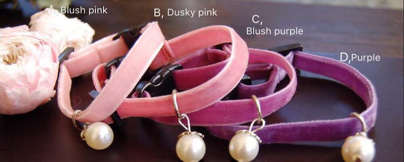 May include: Four velvet cat collars in different shades of pink and purple, each with a pearl charm. The collars are labeled A, Blush pink, B, Dusky pink, C, Blush purple, and D, Purple.