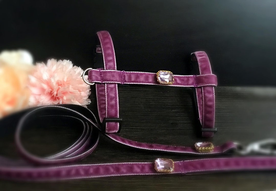 Cat Harness and Leash.lavender Velvet Teacup Harness for Puppy Dog