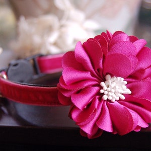 Beautiful hot pink flower Cat collar, cute hot pink velvet small dog collar,Kitten collar.Tiny dog collar, Birthday cat gift,kitty collar