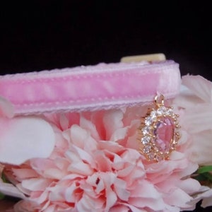 May include: Pink velvet cat collar with a gold and pink crystal charm.