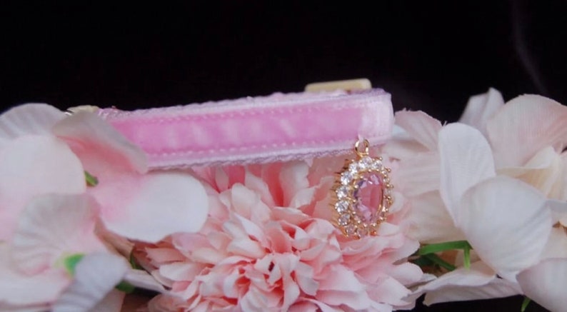 May include: Pink velvet cat collar with a gold and pink crystal charm.