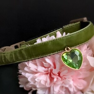 Lindo collar de gato con diamantes de imitación, collar de terciopelo verde oliva para perros pequeños, collar de gato desmontable, collar de perro con forma de taza de té, collar de gatito, collar de cachorro, regalo para gatos