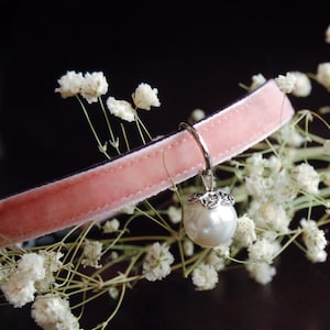 May include: A pale pink velvet collar with a silver ring and a large, white pearl pendant. The collar is surrounded by small white flowers, creating a delicate and elegant aesthetic. The pearl pendant has a decorative silver cap.
