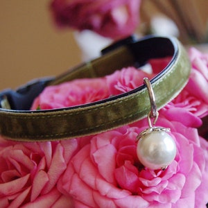 olive green Cat collar,yellow green velvet cat collar, small dog collar,collar.Tiny dog collar, Birthday cat gift,kitty collar.puppy collar