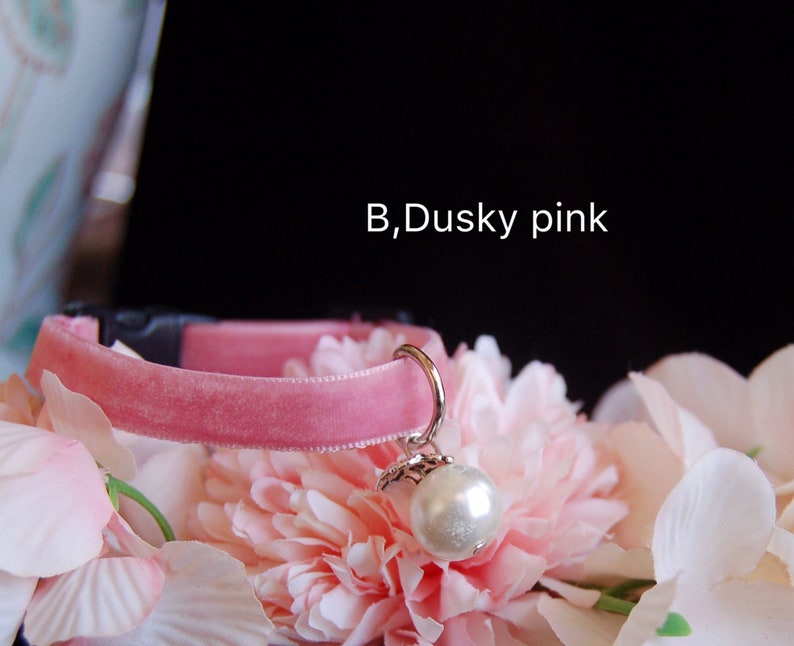 May include: A pink velvet cat collar with a silver charm featuring a pearl. The collar is displayed on a bed of pink and white flowers. The text "B, Dusky pink" is visible in the image.