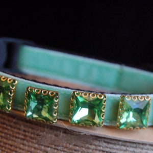 Pu&ograve; includere: Un collare per gatto in velluto verde chiaro con un campanello e cinque strass quadrati verdi con montature dorate.