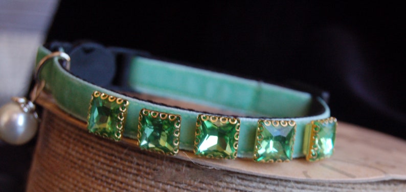 Pu&ograve; includere: Un collare per gatto in velluto verde chiaro con un campanello e cinque strass quadrati verdi con montature dorate.