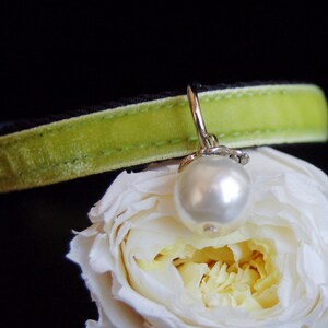 Süßes Katzenhalsband, Hellgelb grüner Samt kleines Hundehalsband, Kätzchenhalsband. Hundehalsband,Katzen Geschenk.Katzenhalsband.Welpe Halsband.Perlen Katzenhalsband