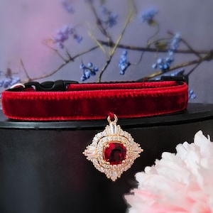 Könnte beinhalten: Ein luxuriöses rotes Samthalsband mit schwarzer Schnalle. Ein goldfarbener Anhänger mit einem großen roten Edelstein und klaren Kristallen hängt am Halsband. Der Anhänger hat eine quadratische Form mit Sternmuster.