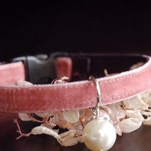 Cat collar,Dusky pink velvet cat collar, small dog collar, pearl pet collar.Tiny dog collar, Birthday cat gift,kitty collar.puppy collar