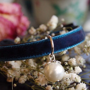 Cute peacock blue velvet Cat collar Pearl Cat collar,Pearl small dog collar.kitty collar, Birthday gift for cat,cat necklace.tiny dog collar