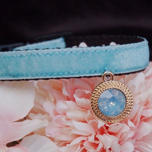 Cute light blue Cat collar,rhinestone Cat collar,velvet dog collar,Kitten collar.Tiny dog collar,Tea cup dog ,kitty collar.puppy collar