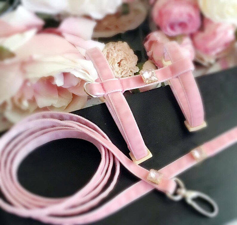 May include: Pink velvet pet harness with a matching leash and crystal accents. The harness has a chest strap and a back strap that connect with a buckle. The leash is attached to the harness with a metal clip.