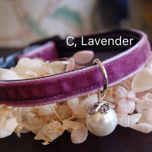 May include: A purple velvet cat collar with a silver charm featuring a pearl. The collar is labeled "C, Lavender".
