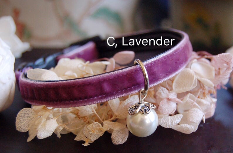 May include: A purple velvet cat collar with a silver charm featuring a pearl. The collar is labeled "C, Lavender".