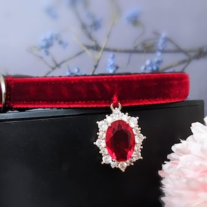 Puede incluir: Un collar para mascotas de terciopelo rojo con un anillo de metal dorado. El collar presenta un colgante con una gran gema roja ovalada rodeada de piedras claras más pequeñas. El fondo está borroso con elementos florales.