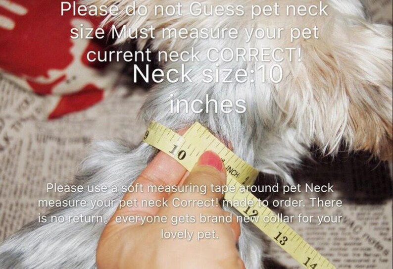 Beautiful Rhinestone Breakaway Cat Collar,peacock Blue Velvet Small Dog