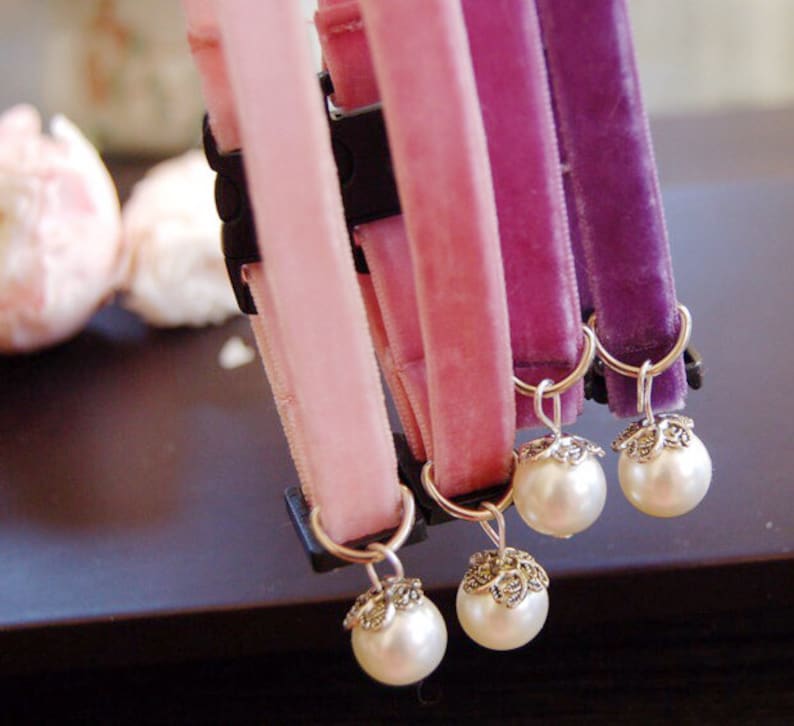 May include: Five velvet cat collars with pearl charms. The collars are in shades of pink and purple.