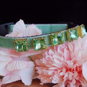 Pu&ograve; includere: Un collare per gatto in velluto verde chiaro con un campanello di perla e cinque strass verdi quadrati con montature dorate.