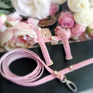 May include: Pink velvet dog harness with a matching leash and crystal accents.