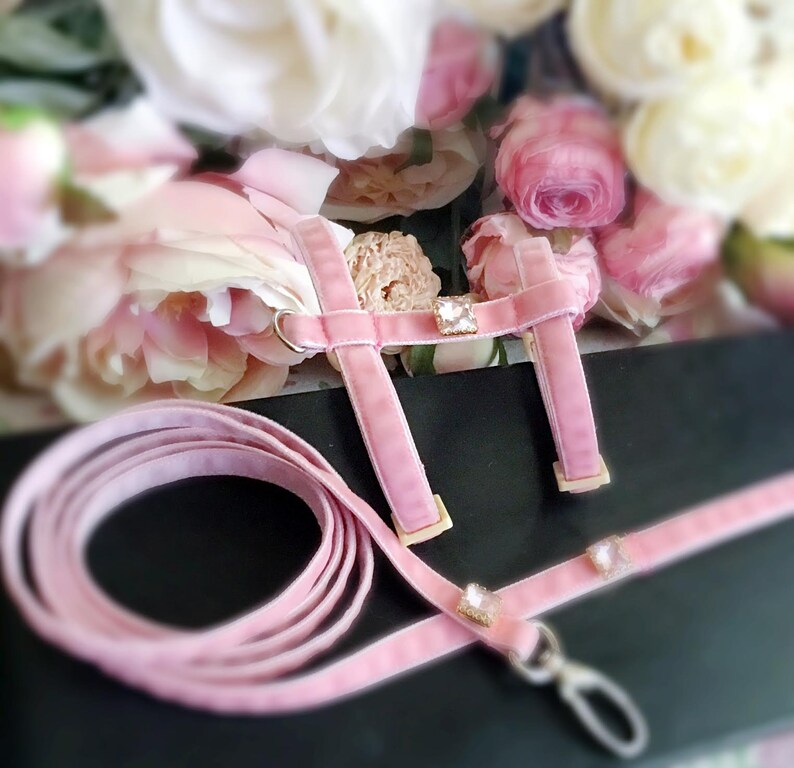 May include: Pink velvet dog harness with a matching leash and crystal accents.